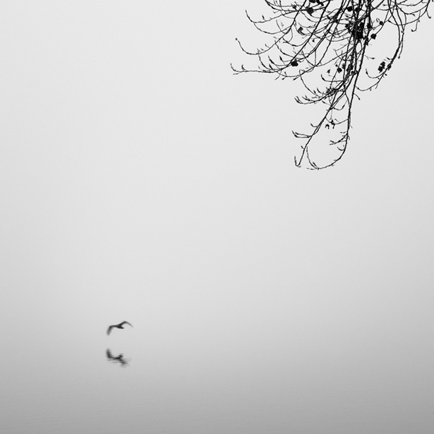 Ojo fotografico (8)