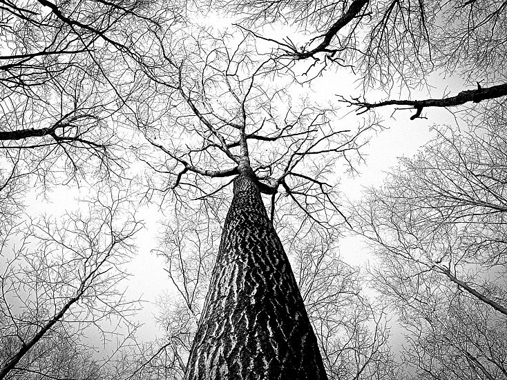 fotografia de paisajes (4)