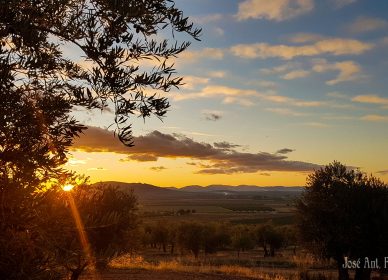 Atardecer en Herencia