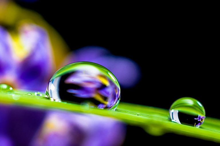 Lee más sobre el artículo Reglas de Composición Fotográfica que Debes Conocer